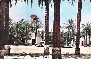 Arzew 637